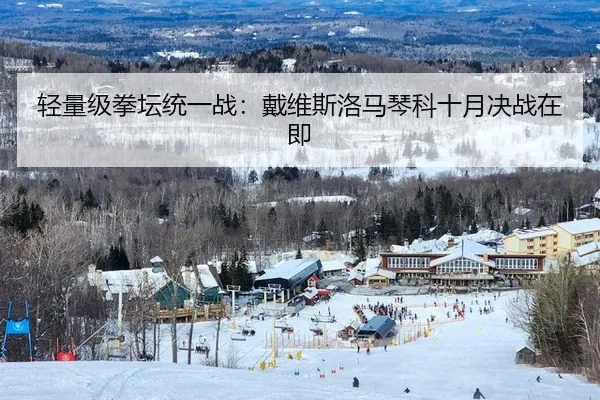 轻量级拳坛统一战：戴维斯洛马琴科十月决战在即